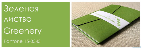 Pantone и отчет самых трендовых цветов 